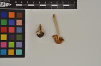 Thumbnail 28