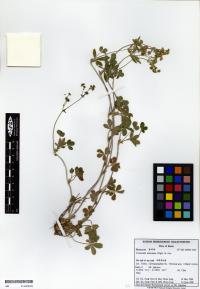 BIMGVP0000181124.jpg