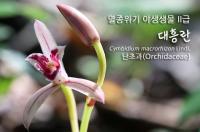동영상 썸네일