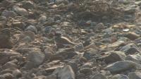 Thumbnail 18