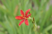 Thumbnail 14