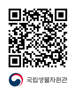 QR코드