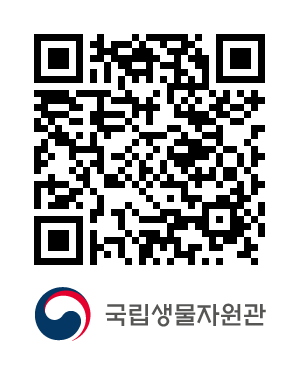 QR코드