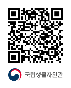 QR코드