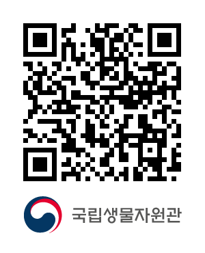 QR코드