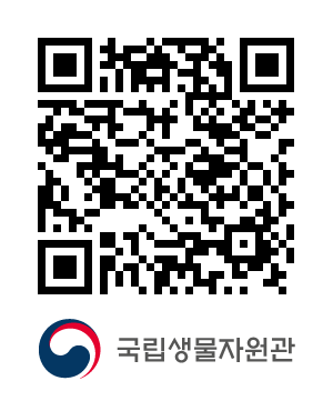 QR코드