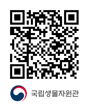 QR코드
