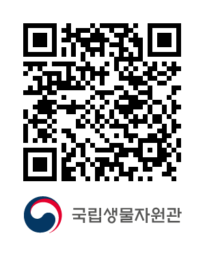QR코드