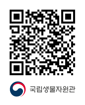 QR코드