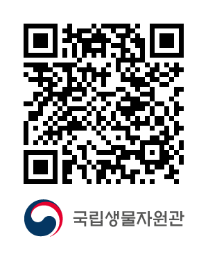 QR코드