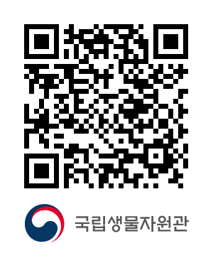 QR코드