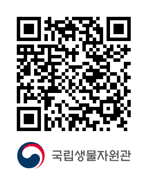 QR코드