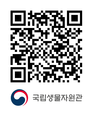 QR코드
