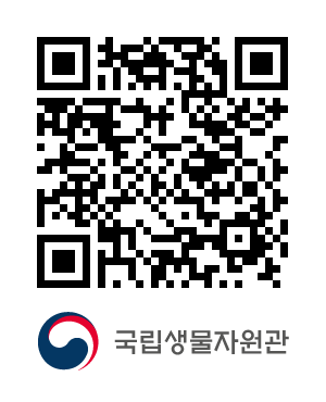 QR코드
