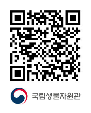 QR코드