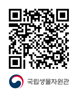 QR코드