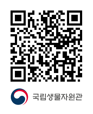 QR코드