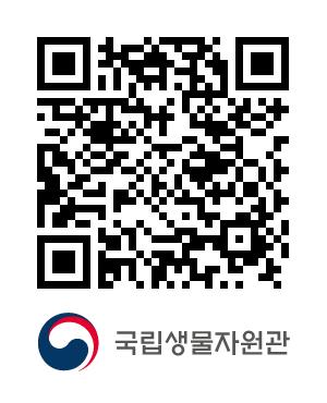 QR코드