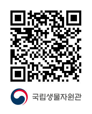 QR코드