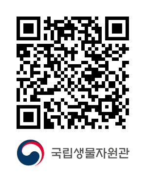QR코드