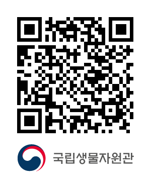 QR코드