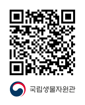 QR코드