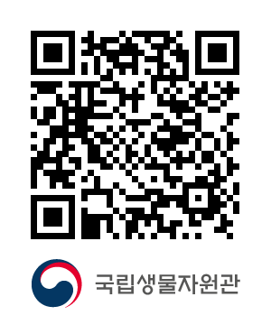 QR코드