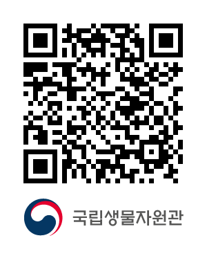 QR코드