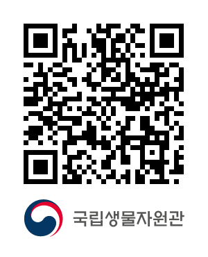 QR코드