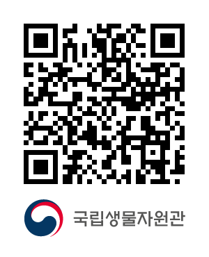 QR코드