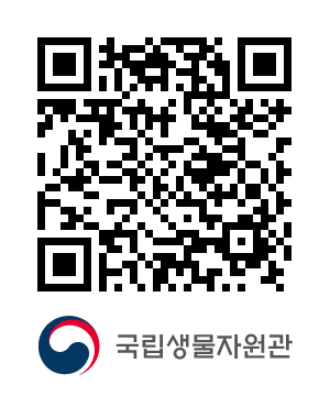 QR코드