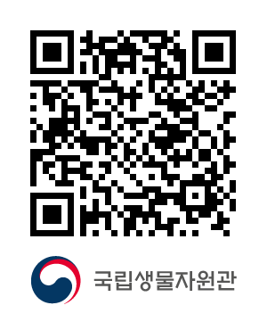 QR코드