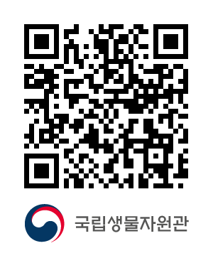 QR코드