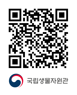 QR코드