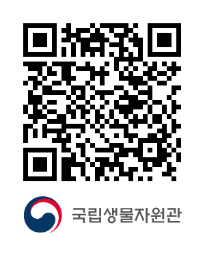 QR코드