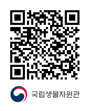 QR코드