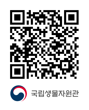 QR코드