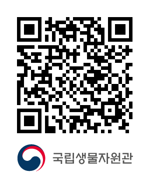 QR코드