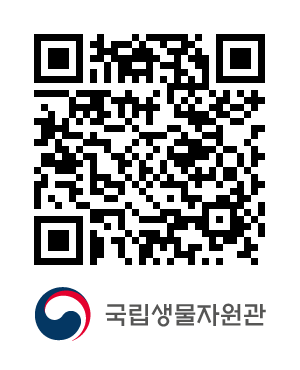QR코드