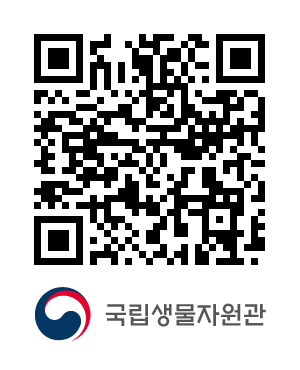 QR코드