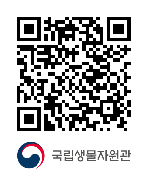 QR코드