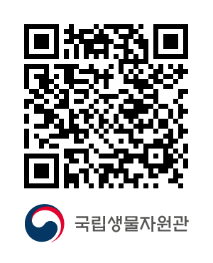 QR코드