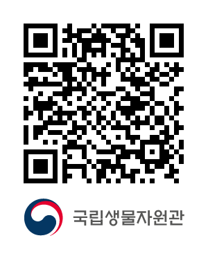 QR코드