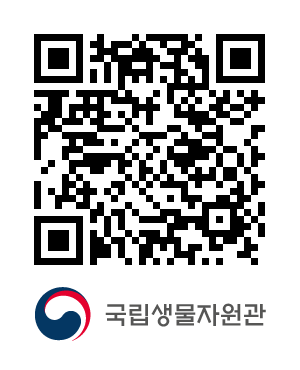 QR코드
