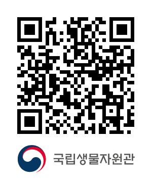 QR코드