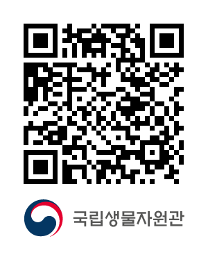 QR코드