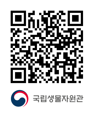 QR코드