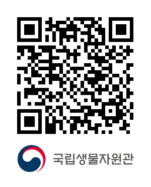 QR코드