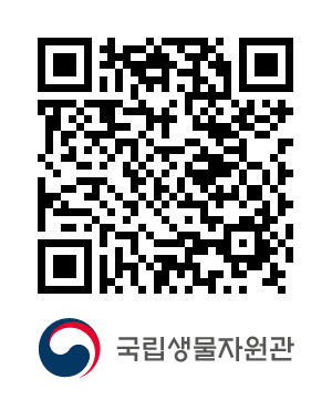QR코드
