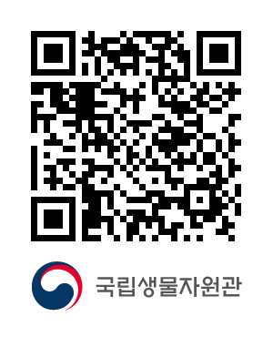 QR코드